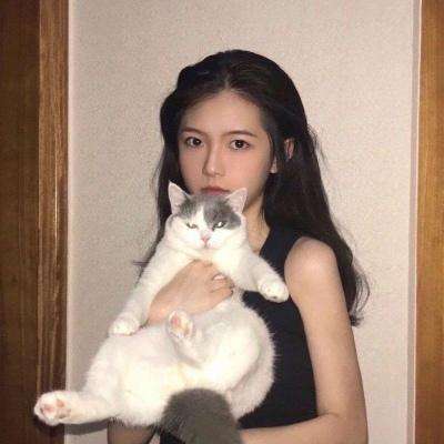 猎人x猎人手游破解版下载